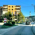 Krtica