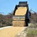 Od 2019. Srbija Ziđin Koper za nasipanje atarskih puteva izdvojila 106 miliona dinara
