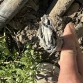 Infrastrukture železnice Srbije: Zbog krađe kablova na brzoj pruzi u Subotici, kašnjenje vozova