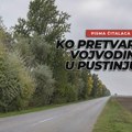 Ko pretvara Vojvodinu u pustinju? Petnaest godina bez novih vetrozaštitnih pojaseva Vetrozaštitni pojasevi