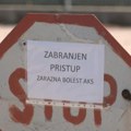 Počelo uklanjanje zaraženih svinja u Hrtkovcima. Skoro 11.000 životinja na udaru opasnog virusa