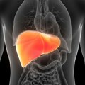 Kako jetra umire: Hepatolog objašnjava šta se dešava kada prestane da radi i simptome kroz sve faze otkazivanja