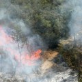 "Gori i ispod i iznad peska" Rumunski vatrogasci u Deliblatskoj peščari: "Ovako nešto dosad nismo videli"