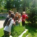 Osnovna škola „Slobodan Bajić Paja“ obeležila Dan planete Zemlje radnom akcijom