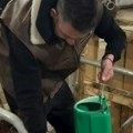Vasić u štali sa tek rođenim teletom i prasićima: Glumac uzeo kofu mleka, pa hrani mladunče, "Proba prvi put"