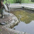 Fontana u centru Zaječara zapuštena: prljavština i mrtav golub u vodi