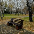 Srbija danas na suncu, Niš do 23 stepena: Od četvrtka svežije, uz kišu i pljuskove