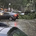 Olujno nevreme zahvatilo Banjaluku, vetar oborio drveće u centru grada
