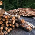 Naučnici razvili postupak koji otpad od drveta pretvara u supstance za lekove