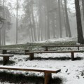 Србија пред новим захлађењем: Снег у брдима, киша у Војводини, Ниш и југ суви али ледени