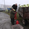Poljoprivrednik podelio 10 tona kupusa džabe! Ogorčen zbog jedne stvari odlučio se na ovakav nesvakidašnji korak: "Radije…