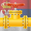 Gasna elektrana kod Niša menja energetsku mapu Srbije: Azerbejdžanski gas i trka sa rokovima za NIS