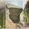"Pojavili su se nepoznati muškarci, doneli plastičnu burad i montirali nešto": Ovako su meštani opisali imanje na kojem je…
