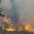 Efis sistem: Površina stradala u požarima u Francuskoj dostigla 70 hiljada hektara