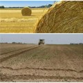 Poljoprivrednom zemljištu cena i dalje visoka Hektar njive u Bačkoj i do 31.000 evra, u Banatu ima i za hiljadu evrića