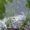 Grad naneo veliku štetu opštinama Topola i Šabac, najviše stradalo voće i žitarice