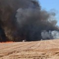 Gori njiva u srednjem Banatu: Plamen izuzetno visok i taman, uzrok i posledice će tek biti utvrđene