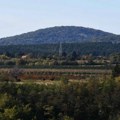 Odbegli bizon vraćen u ograđeni deo Nacionalnog parka Fruška gora