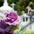 Danas su Miholjske zadušnice: Sećamo se onih koji su nas napustili a valja uraditi 2 stvari