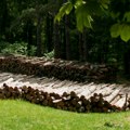 ,,Srbijašume,,-prodaja ogrevnog drveta