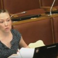 Mandić: RIK još bez stava o rednim brojevima izbornih listi na glasačkom listiću