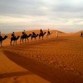 Globalno zagrevanje i teške posledice – UAE i najveća temperatura ikad u maju!