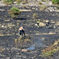 BRZOM REAKCIJOM VATROGASACA I DVD UGAŠENI POŽARI NA NEKOLIKO LOKACIJA: Apel građanima da se zaštite od vrućine i da ne pale…