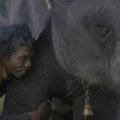 3 najbolja Netfliksova dokumentarca u poslednjih 5 godina: Među njima je i dobitnik Oskara koji je rasplakao svet