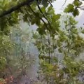 (Foto, video) Snimci požara u Kladovu Vanredno u tri naselja, prave se protivpožarni koridori, sve snage gase vatru koju vetar…