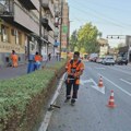 JKP Mediana na terenu: Uređenje zelenila i javnih površina širom Niša
