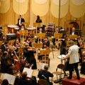 Prvi novosadski festival klasične muzike za najmlađe Divlja simfonija