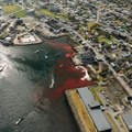 More se crveni od krvi: Surova tradicija ubijanja kitova na Farskim ostrvima je ove godine postala još brutalnija (video)
