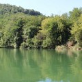 Suzbijanje larvi komaraca- Tretman nije štetan za pčele
