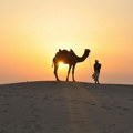 Ekstremne vrućine u Africi utiču i na kamile