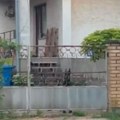 Snimili smo dobermane koji su izjedali devojčicu u Boljevcima: komšije u šoku, u ulici se samo čuje lavež pasa