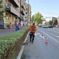 JKP „MEDIANA“ UREĐUJE NIŠ: Čišćenje u centru i naseljima, košenje zelenila i orezivanje stabala