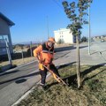 „Mediana“ na više lokacija širom Niša: Uređuju Tvrđavu, parkove, bulevare i gradske ulice