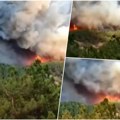 Užas u grčkoj, nađeno najmanje 18 ugljenisanih tela: Bili podeljeni u dve grupe u šumi koja od juče ne prestaje da gori…