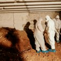 Stiže DNK "rudara mafije" Šestoro osumnjičenih za kopanje tunela ispod suda u Podgorici: Istraga dobila još jedan pravac