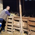 Kako se Dušan Rakić iz Iđoša između fabrike i sopstvene farme opredelio za ovo drugo