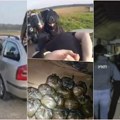 Zaustavili automobile i bacili ih na asfalt Dramatična akcija policije: "Pala" banda, pogledajte šta je policija otkrila u…