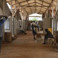 Sudan prekida veze sa Emiratima! Veliki drama u arapskom svetu, oglasio se savet odbrane