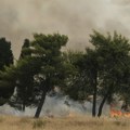 Ugašen požar na području Lovćena