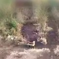 Ranjenom ukrajinskom vojniku robot spašava život! Snimak sa prve linije fronta zapalio mreže (video)