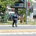 Poranili radari, a ima i radova: Šta se dešava u saobraćaju u Novom Sadu i okolini