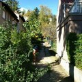 Vremenska prognoza za sredu 29. oktobar: Sutra pretežno sunčano i osetno toplije