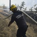 Marinković (Vojvodinašume) za Insajder: Situacija u Deliblatskoj peščari mirinija, ali opasnost nije prošla - sledi težak…