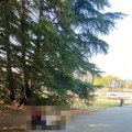 (Foto) "Imali pekare, govore strane jezike, a sada završili na klupi!" Tužna priča bračnog para koji spava u parku kod Ušća…