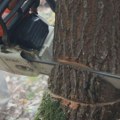 Radnik iz BiH povređen u nesreći na radu u Austriji: Drvo mu palo na glavu, helikopterom prebačen u bolnicu