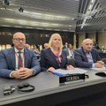 Delegacija Srbije u Parlamentarnoj skupštini NATO na prolećnom zasedanju ukazala na ugroženost Srba na Kosovu